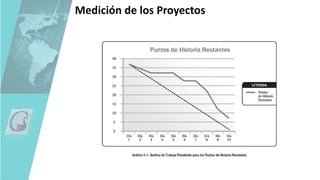 Medición de los Proyectos
 