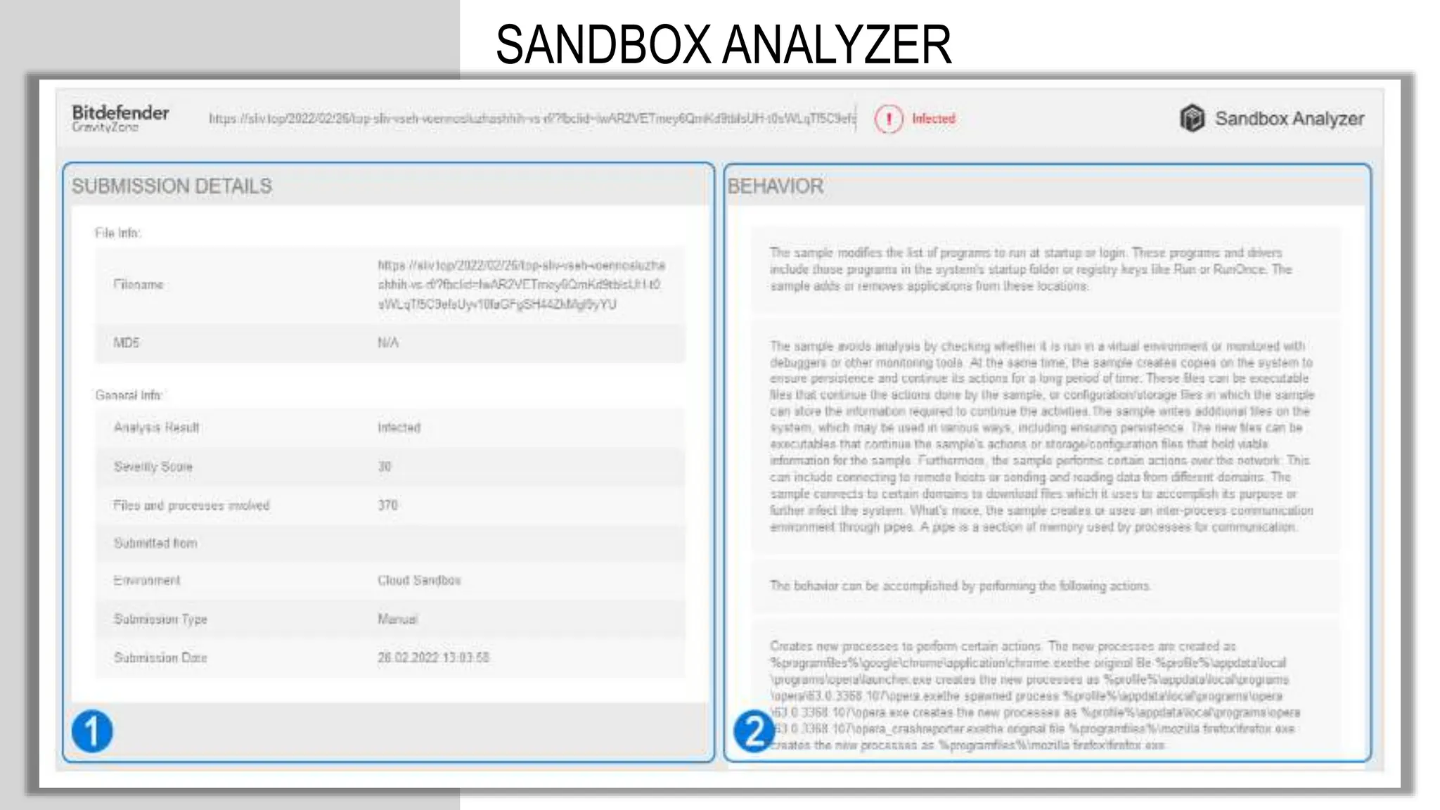 SANDBOX ANALYZER
 