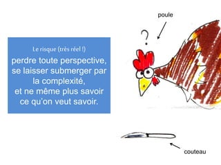 Le risque (très réel !)
perdre toute perspective,
se laisser submerger par
la complexité,
et ne même plus savoir
ce qu’on veut savoir.
poule
couteau
 