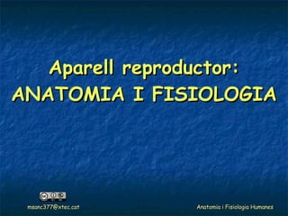 Aparell reproductor: ANATOMIA I FISIOLOGIA 