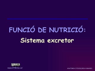 FUNCIÓ DE NUTRICIÓ:
              Sistema excretor



msanc377@xtec.cat           ANATOMIA I FISIOLOGIA HUMANES
 