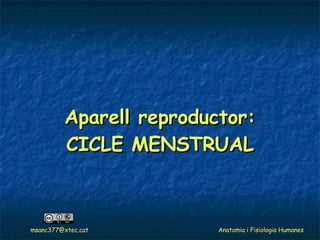 Aparell reproductor: CICLE MENSTRUAL 