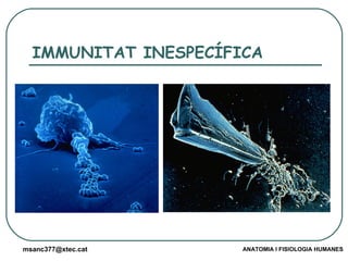 IMMUNITAT INESPECÍFICA 