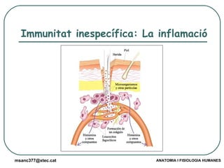 Immunitat inespecífica: La inflamació 