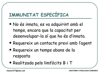 IMMUNITAT ESPECÍFICA No és innata, es va adquirint amb el temps, encara que la capacitat per desenvolupar-la sí que ho és d’innata. Requereix un contacte previ amb l’agent Requereix un temps abans de la resposta Realitzada pels limfòcits B i T 