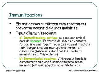 Immunitzacions Els anticossos s’utilitzen com tractament preventiu davant d’algunes malalties Tipus d’immunitzacions: a) Immunitzacions actives :  es coneixen amb el nom de  vacunes . Es tracta de posar en contacte l’organisme amb l’agent nociu (prèviament tractat) i així l’organisme desenvolupa una immunitat específica (fabricació d’anticossos i cèl·lules memòria) (ex. Triple vírica) b) Immunologies passives :  s’introdueix l’anticòs directament amb acció immediata però sense memòria (ex. Gammaglobulina antitetànica) 