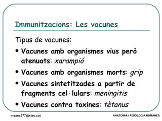 Immunitzacions: Les vacunes Tipus de vacunes: Vacunes amb organismes vius però atenuats :  xarampió Vacunes amb organismes morts :  grip Vacunes sintetitzades a partir de fragments cel·lulars :  meningitis Vacunes contra toxines :  tètanus 