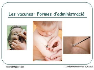 Les vacunes: Formes d’administració 