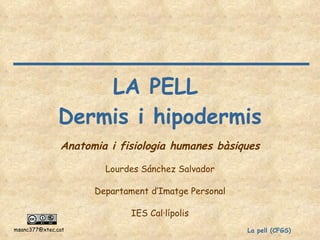 LA PELL  Dermis i hipodermis ‏ Anatomia i fisiologia humanes bàsiques Lourdes Sánchez Salvador Departament d’Imatge Personal IES Cal·lípolis 