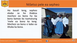 Re Bona Leseli Leseling La Hao. www.lce.ac.ls contacts: (+266) 22312721 www.facebook.com/LesothoCollegeOfEducation
Ntšetso pele ea sepheo
Ho basali teng, sepheo
ekaba sa ho thabisa
mechesi ea bona ha ba
bona kamoo ba tsamaisang
’mele ea bona ka teng.
Mechesi ea bona e kaba ea
ithoka ka bona.
 