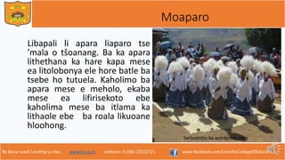 Re Bona Leseli Leseling La Hao. www.lce.ac.ls contacts: (+266) 22312721 www.facebook.com/LesothoCollegeOfEducation
Moaparo
Libapali li apara liaparo tse
’mala o tšoanang. Ba ka apara
lithethana ka hare kapa mese
ea litolobonya ele hore batle ba
tsebe ho tutuela. Kaholimo ba
apara mese e meholo, ekaba
mese ea lifirisekoto ebe
kaholima mese ba itlama ka
lithaole ebe ba roala likuoane
hloohong.
Setšoantšo ka wordpress.com
 