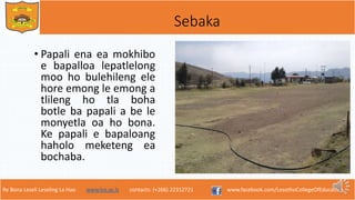 Re Bona Leseli Leseling La Hao. www.lce.ac.ls contacts: (+266) 22312721 www.facebook.com/LesothoCollegeOfEducation
Sebaka
• Papali ena ea mokhibo
e bapalloa lepatlelong
moo ho bulehileng ele
hore emong le emong a
tlileng ho tla boha
botle ba papali a be le
monyetla oa ho bona.
Ke papali e bapaloang
haholo meketeng ea
bochaba.
 