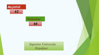 Mubashar
Mujahid
66
Superior University
Depalpur
62
 