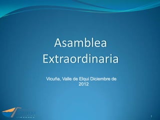 Asamblea
Extraordinaria
Vicuña, Valle de Elqui Diciembre de
                 2012




                                      1
 