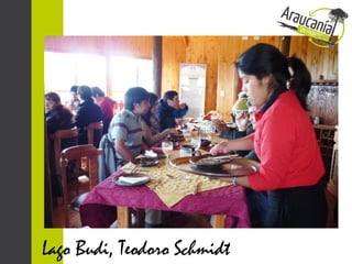 Lago Budi, Teodoro Schmidt
 