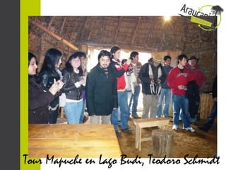 Tour Mapuche en Lago Budi, Teodoro Schmidt
 