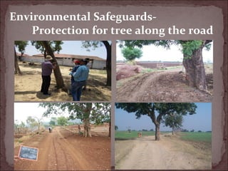 Environmental Safeguards-
Protection for tree along the road
 