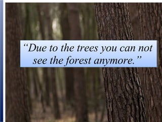 “ Due to the trees you can not  see the forest anymore.”  