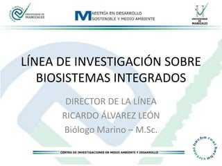 LÍNEA DE INVESTIGACIÓN SOBRE BIOSISTEMAS INTEGRADOS DIRECTOR DE LA LÍNEA RICARDO ÁLVAREZ LEÓN Biólogo Marino – M.Sc. 