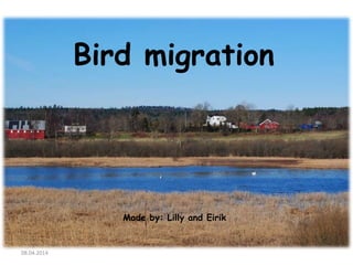 Bird migration
Made by: Lilly and Eirik
08.04.2014
 
