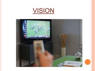 VISION
 