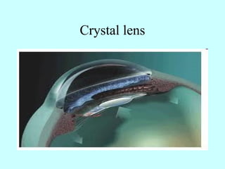 Crystal lens
 