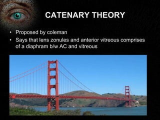 CATENARY THEORY 
• Proposed by coleman 
• Says that lens zonules and anterior vitreous comprises 
of a diaphram b/w AC and vitreous 
 