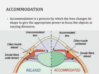  Accommodation is a process by which the lens changes its
shape to give the appropriate power to focus the objects at
varying distances.
5/29/2017 7
 
