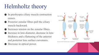 Helmholtz theory
● In presbyopia ciliary muscle contraction
ceases.
● Posterior zonular fibres pull the ciliary
muscle backward.
● Increases tension on the zonular fibres.
● Increase in lens diameter, decrease in lens
thickness and a flattening of the anterior
and posterior lens surface curvatures.
● Decrease in optical power.
 