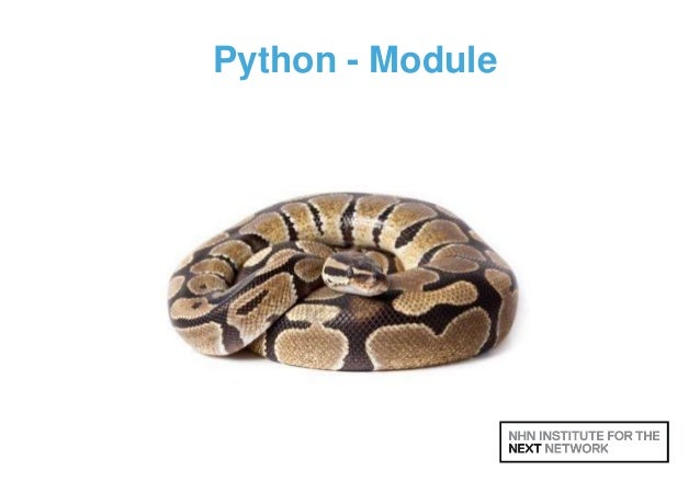 Python  Module