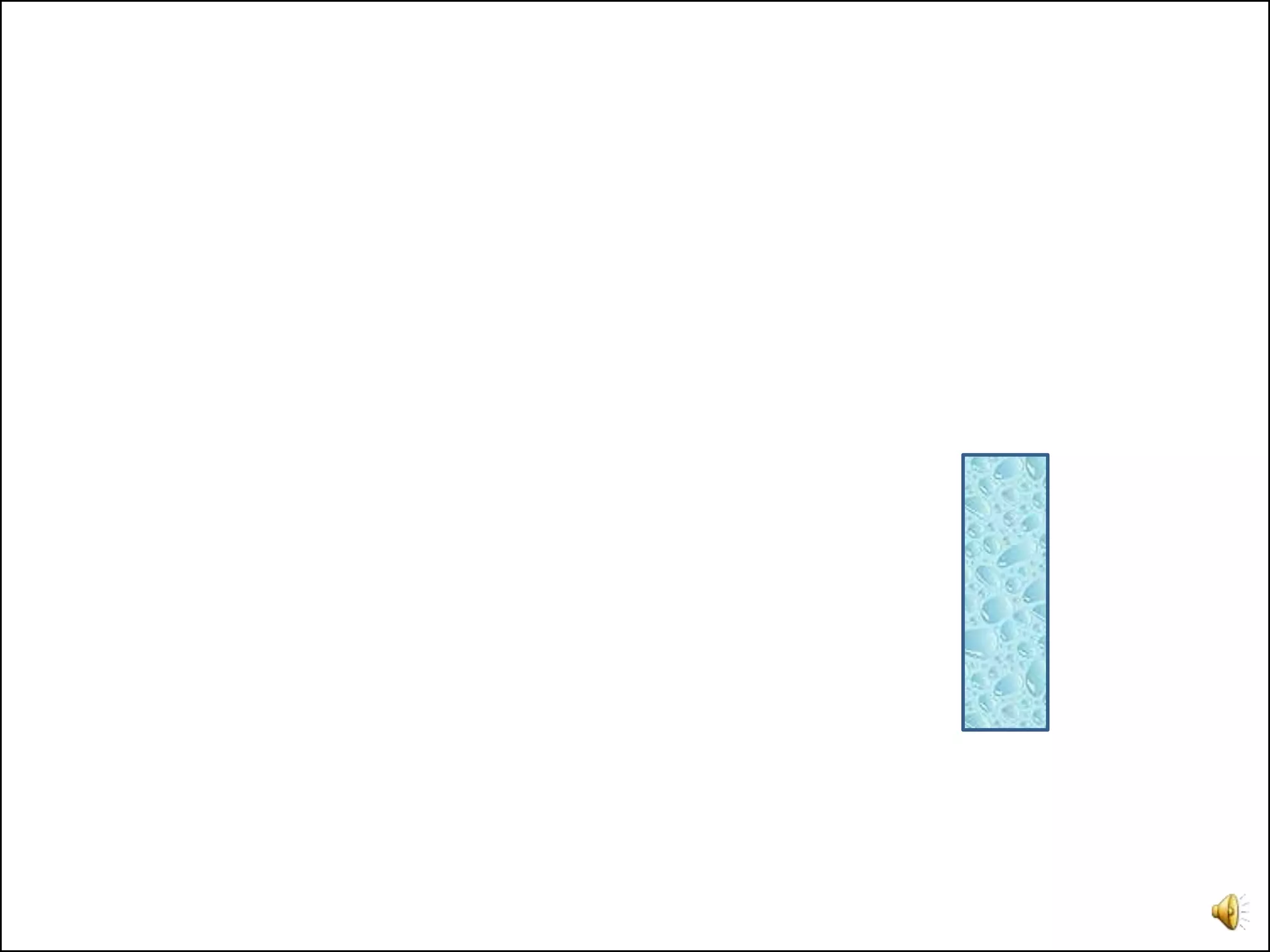 Preschool circle presentation