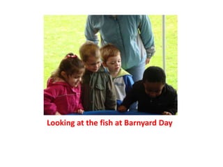 Looking at the fish at Barnyard Day
 