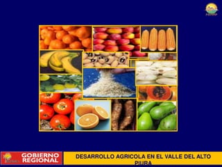 Preschul 11 09-10 peihap