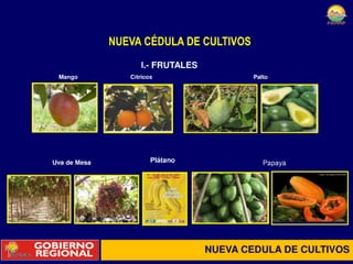 Preschul 11 09-10 peihap