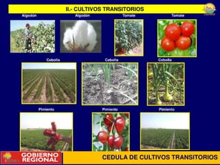 Preschul 11 09-10 peihap