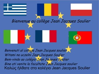 COMENIUS - Presentation college JJ SOULIER