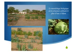 "
Le maraîchage biologique
est la structure utilisant le
plus d’eau à Ndem
 