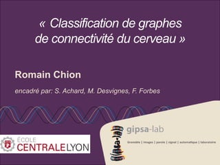 « Classification de graphes
de connectivité du cerveau »
Romain Chion
encadré par: S. Achard, M. Desvignes, F. Forbes
 