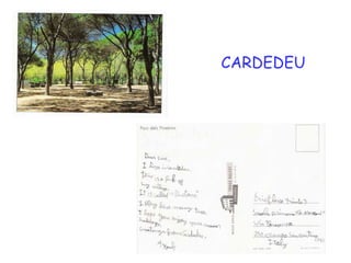 CARDEDEU 