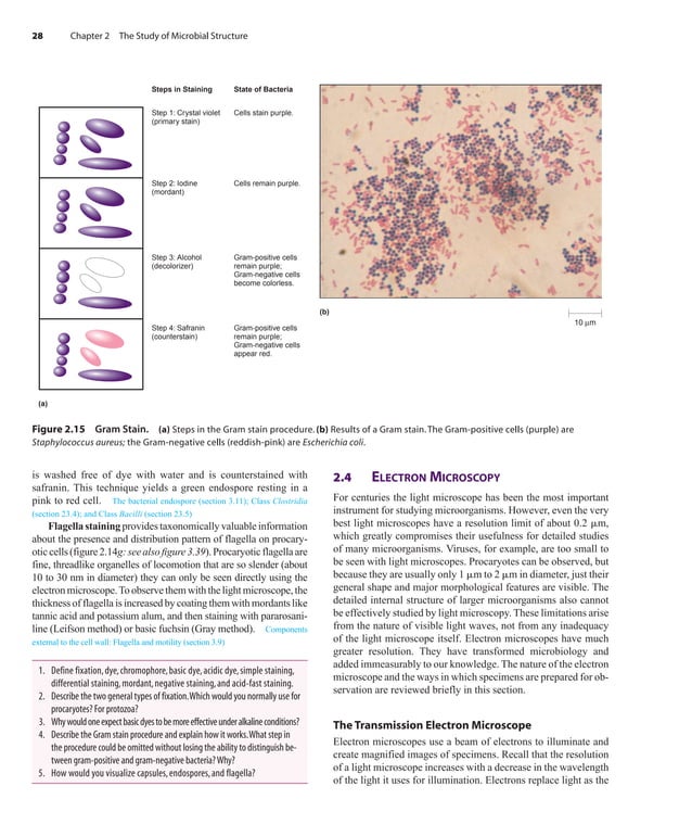 Prescott Microbiology 7th Edition.pdf