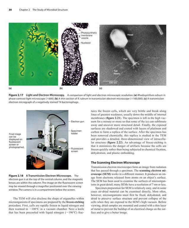 Prescott Microbiology 7th Edition.pdf