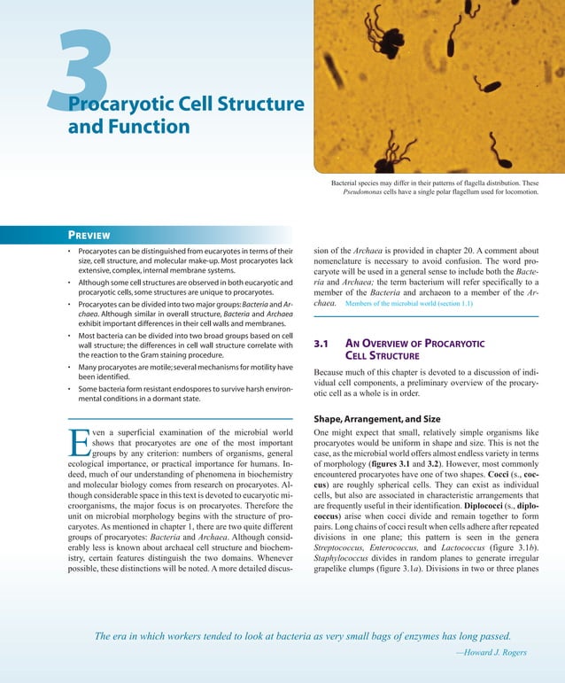 Prescott Microbiology 7th Edition.pdf