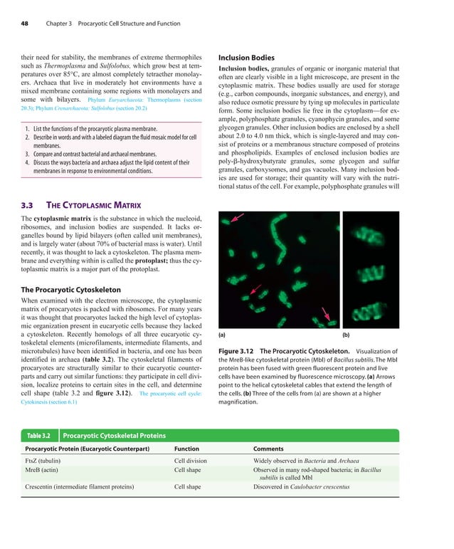 Prescott Microbiology 7th Edition.pdf