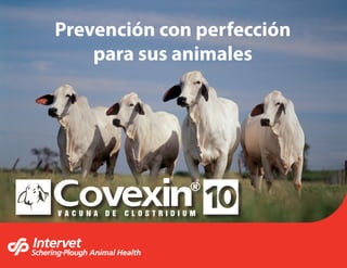 Prevención con perfección
    para sus animales
 