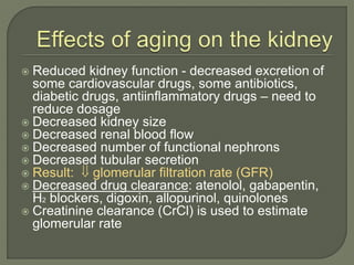 gabapentin and kidneys function