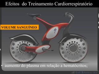Efeitos  do Treinamento Cardiorrespiratório  aumento do plasma em relação a hematócritos; VOLUME SANGUÍNEO  