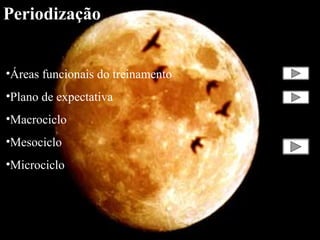 Periodização
•Áreas funcionais do treinamento
•Plano de expectativa
•Macrociclo
•Mesociclo
•Microciclo

 