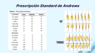 Prescripción Standard de Andrews
Tip
Torque
 