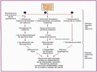 Madres Gestantes y Ejercicio Físico
 
