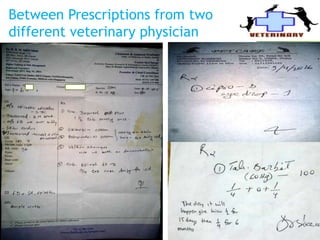 Between Prescriptions from two
different veterinary physician
 
